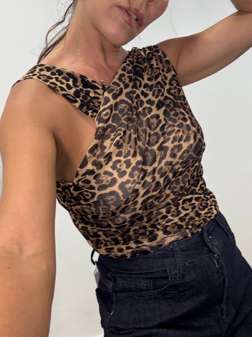 Body animal